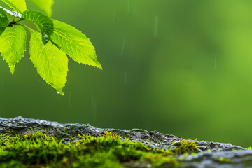 Close-up on poster with leaves in the rain, space for concept about nature and hiking