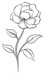 Wall Mural - PNG Flower sketch pattern drawing.