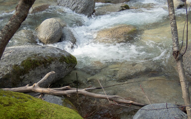 Wall Mural - Cascading stream