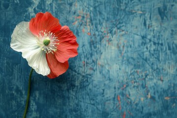 Canvas Print - Red and White Flower on Blue Background