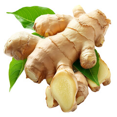 Fresh Ginger Root with Green Leaves