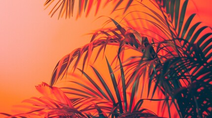 Poster - A close up of some palm leaves on an orange background, aesthetic photography, orange and pink hues, plants in the foreground.