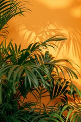 Poster - A close up of plants in front of an orange wall, aesthetic sunset photography, boho style illustrations of plants and palm trees with a minimalist color palette, tropical exotic atmosphere.