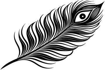 peacock feather black silhouette vector white background