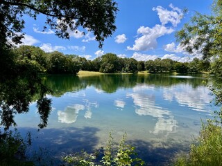 Wall Mural - Idyllic park landscape with a small lake. The shore of the lake is surrounded by large old trees, bushes and grasses. The blue sky with clouds is reflected in the water.