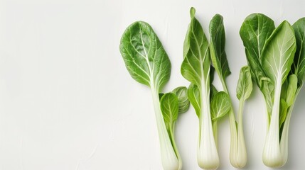 Wall Mural - Baby pak choi against white backdrop