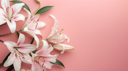 Poster - Lilies on soft pink surface in flat lay view with space for text