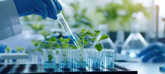 Poster - Plants in lab tube. Science laboratory experiments analysis and genetic engineering study.