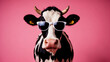 © Pavel Lysenko - A black and white cow with white sunglasses stares directly at the camera with a serious expression. The background is a bright pink color