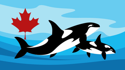 two dolphins in the water Vector Illustration 