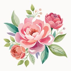 Wall Mural - white background, flower, watercolor, isolated, |Softly painted watercolor flowers on clean white background, creating beautiful and peaceful composition.
