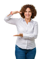 Poster - Beautiful middle ager senior businees woman over isolated background gesturing with hands showing big and large size sign, measure symbol. Smiling looking at the camera. Measuring concept.