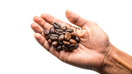 Wall Mural - A close-up photo of a hand holding roasted brown coffee beans