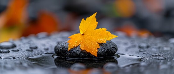 Wall Mural -  A yellow leaf atop a black rock, surrounded by a pool of water with droplets forming around it
