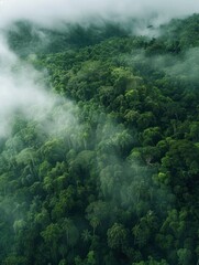 Wall Mural - Aerial view of dark green forest with misty clouds. The rich natural ecosystem of rainforest concept of natural forest conservation and reforestation - generative ai