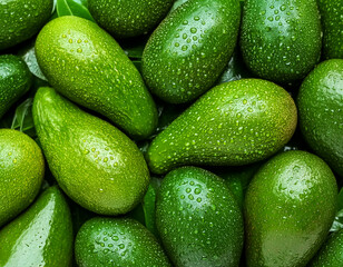 Creative food concept. Fresh avocados avocado green adorned with glistening water droplets seamless. mock up.