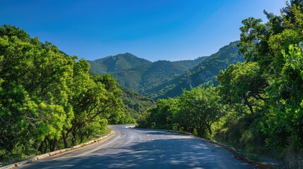 Wall Mural - A serene mountain road lined with lush green trees under a clear blue sky, curving gently around the mountainside.