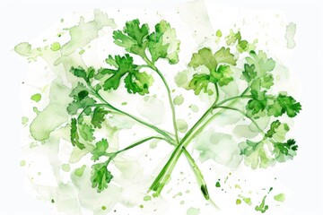 Wall Mural - Watercolor Parsley Illustration - Freshness and Simplicity with Copy Space