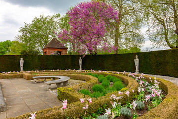 Wall Mural - Kew botanical gardens in spring, London, UK