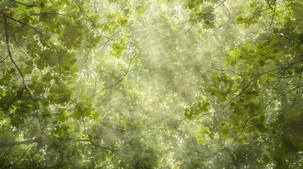 Wall Mural - Sunbeams Through the Canopy of a Lush Forest