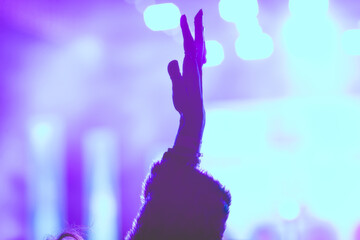 Random hand in the crowd at a festival in California