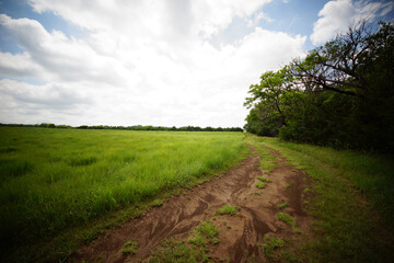 prairie path in summer