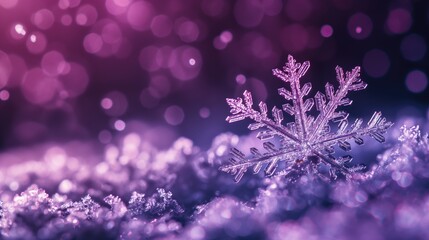 Wall Mural - Macro image of a beautiful snowflake on a bokeh dark purple background with copy space. Winter background