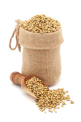 Wall Mural - Close-up of Organic Coriander (Coriandrum sativum) seeds, in a jute bag and on a scoop, Isolated on a white background.