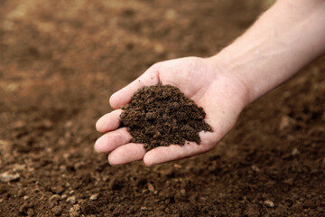 Wall Mural - Woman holding pile of soil outdoors, closeup. Space for text