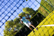 © Wavebreak Media - Playing tennis on outdoor court, man celebrating after successful shot