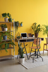 Wall Mural - Interior of office with workplace, shelf unit and houseplants