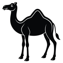 Camel animal  Silhouette vector illustration