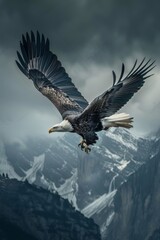 Poster - An eagle with piercing human eyes soars above the mountains, symbolizing freedom and vision.