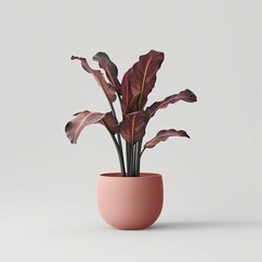 plant pot photography on white background