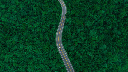 Wall Mural - Aerial view of dark green forest road and white electric car Natural landscape and elevated roads Adventure travel and transportation and environmental protection concept	