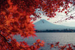 © FEIFEI - fuji mountain in red leaf