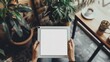 © Alief Shop - Top view mockup image of a business woman holding digital tablet with blank white desktop screen in cafe