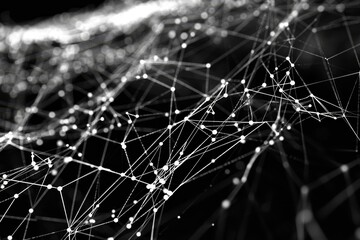 Poster - a detailed black and white composition featuring a network of lines and dots, an intricate web of in