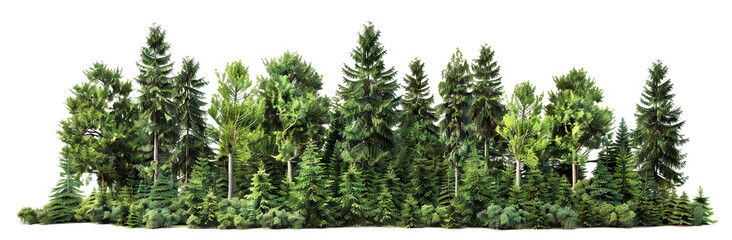 Wall Mural - Lush green forest cut out