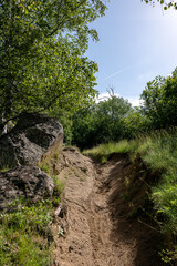 Sticker - path in the forest