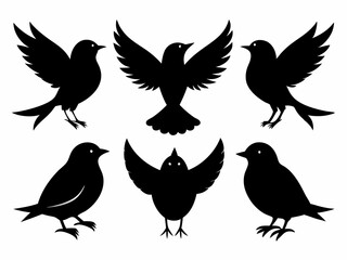 Wall Mural - set of silhouettes of birds Vector, isolated black silhouette bird bundle
