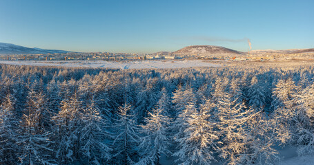 Wall Mural - Winter panorama of the surroundings of Magadan. Top view of a beautiful winter forest. In the distance, the northern city. Cold weather. Snow-covered larches. Magadan region, Far East of Russia.