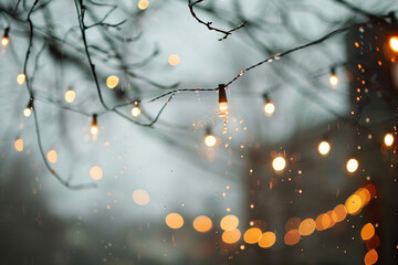 Wall Mural - Photo of string lights hanging in the rain, with blurred garden party background. Minimalist style.


