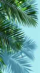 Canvas Print - Palm tree leaf backgrounds outdoors.