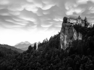 Wall Mural - lake bled slovenia