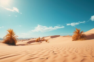 Canvas Print - Desert sky landscape outdoors.