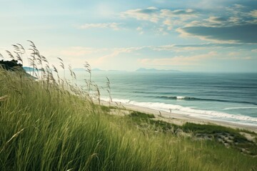 Sticker - Sea grass landscape outdoors.