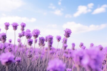 Wall Mural - Lavender sky landscape outdoors.