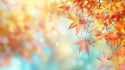 Wall Mural - Vibrant autumn maple leaves in Kyushu Japan with empty space and macro focus