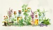 © Supranee - Watercolor illustration of various medicinal herbs and essential oils in glass bottles with cork stoppers, perfect for holistic themes.